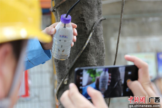 住戶(hù)為防止雨天插座漏電而套上的塑料瓶中積水明顯，存在漏電隱患。謝耘 攝